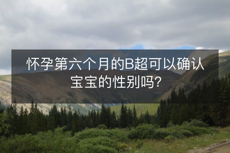 怀孕第六个月的B超可以确认宝宝的性别吗? 怀孕第六个月的B超可以确认宝宝的性别吗?