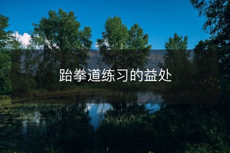 跆拳道练习的益处 跆拳道练习的益处