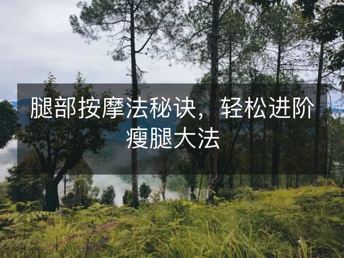 腿部按摩法秘诀，轻松进阶瘦腿大法