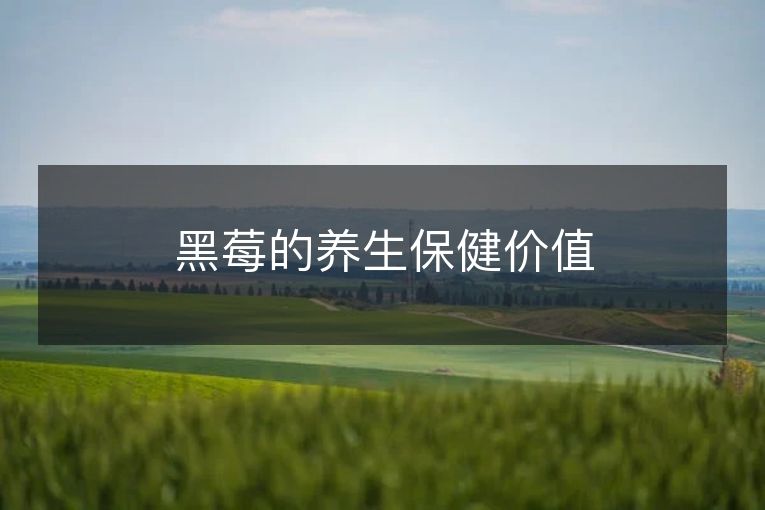 黑莓的养生保健价值