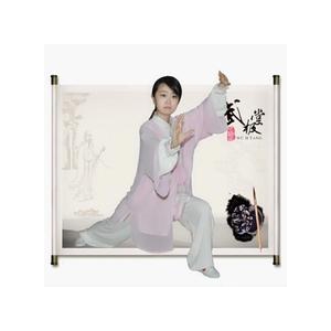 《杨式40式太极拳》